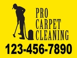 Carpet Cleaning black
