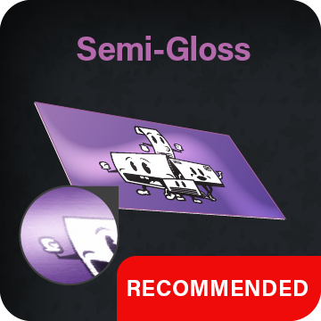 Semi-Gloss (Recommended)